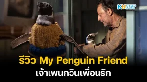 My Penguin Friend (2024) KUBET